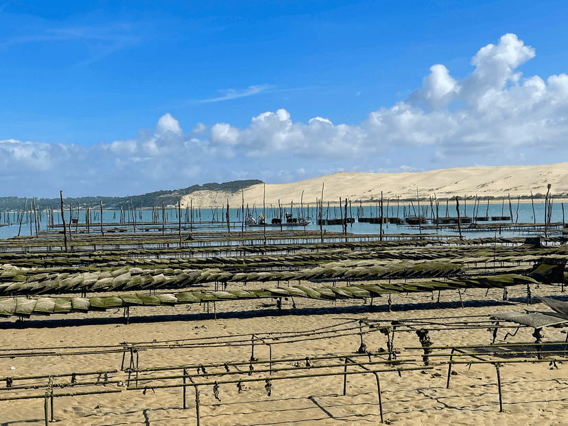 Littoral français : l’Ifremer révèle la “carte noire” de la pollution chimique invisible