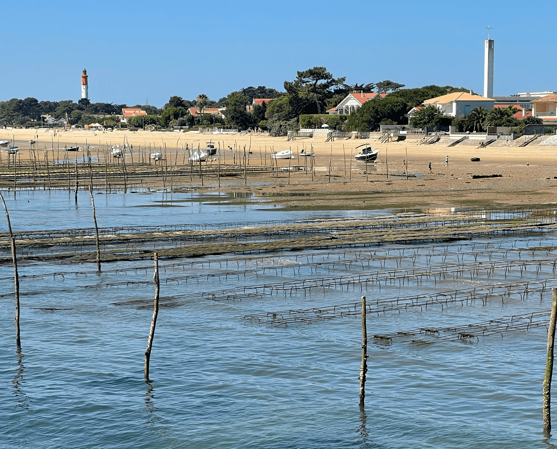 Bassin d’Arcachon : pollution chimique, huîtres en danger ?