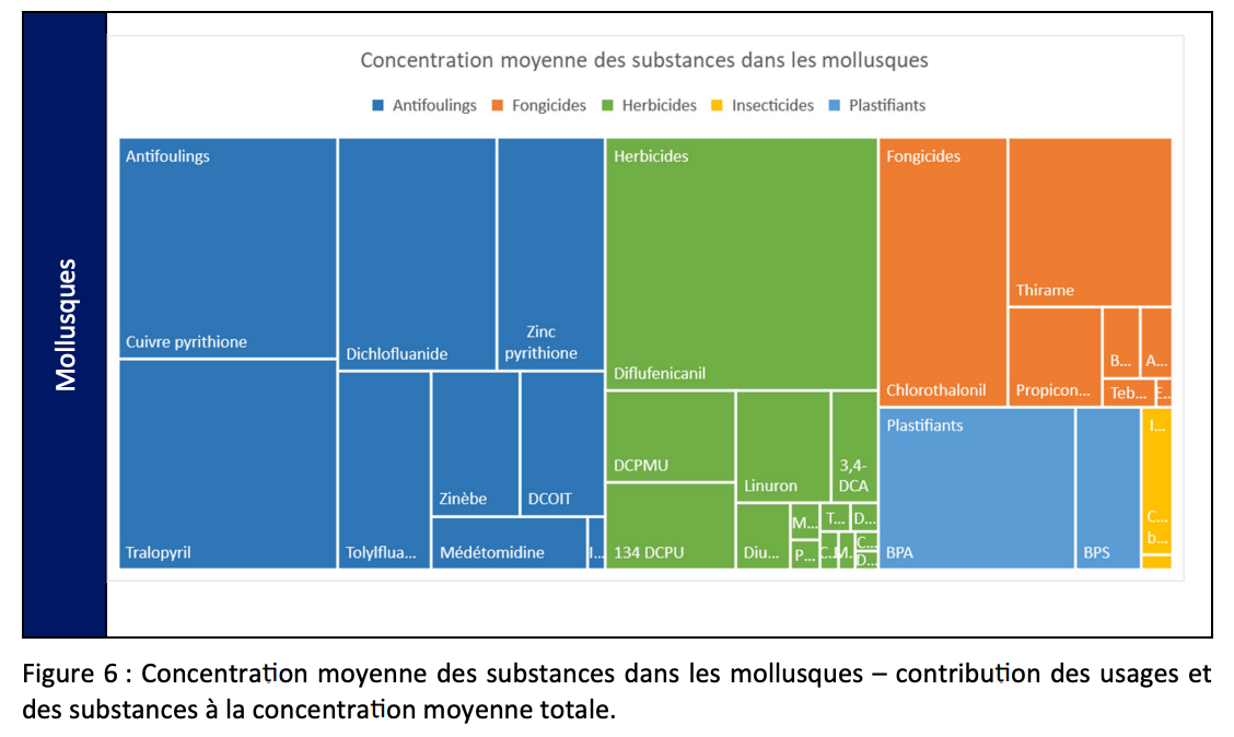 Ifremer Pollution des huitres et des moules