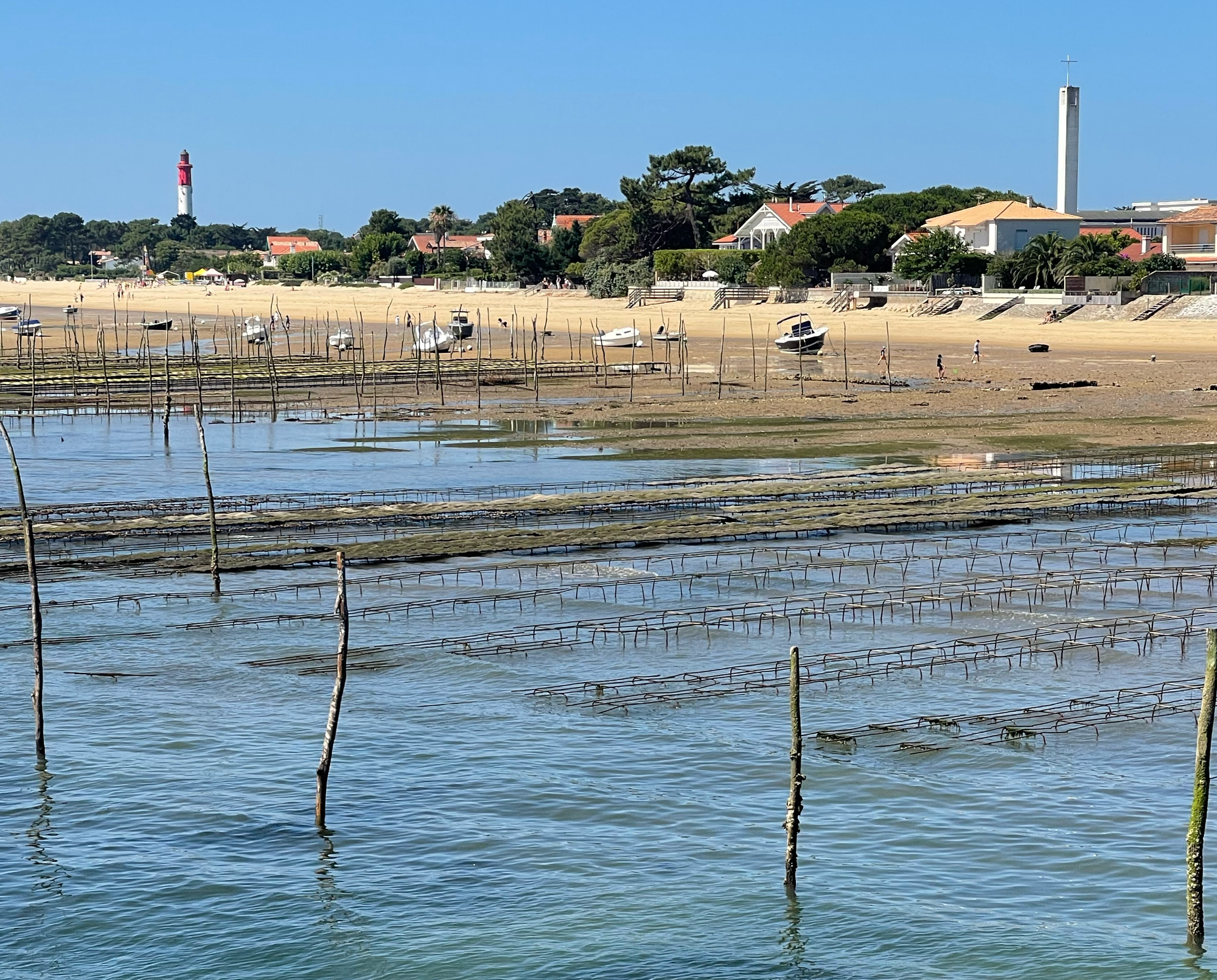 Bassin d’Arcachon : pollution chimique @Aqui.Media