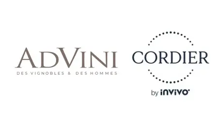 advini cordier by invivo
